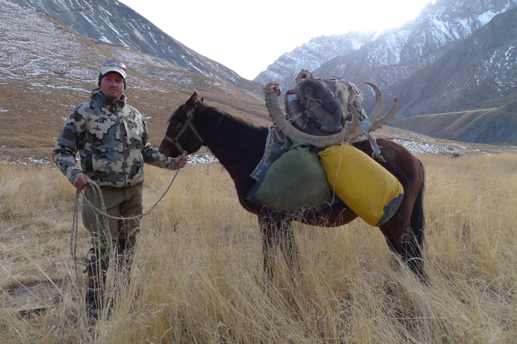 Packing out ibex on a packhorse in Kyrgyzstan