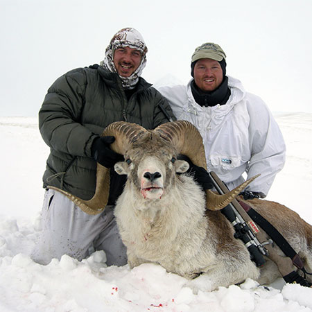 Marco Polo Sheep - Asian Mountain Outfitters