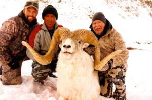 Kyrgyzstan Marco Polo Hunt