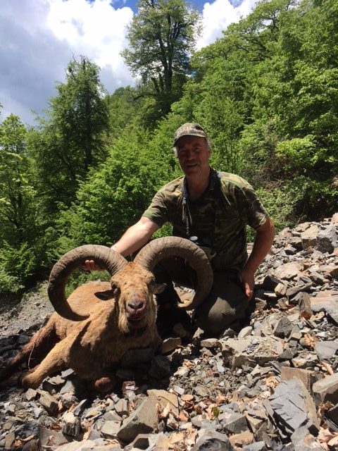 Dagestan Tur, 35 inch, 145 SCI, Mark James, June 2017