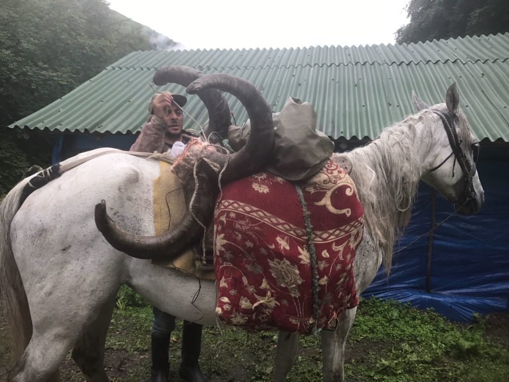 Horse carrying 2 Azerbaijan Tur June 2017