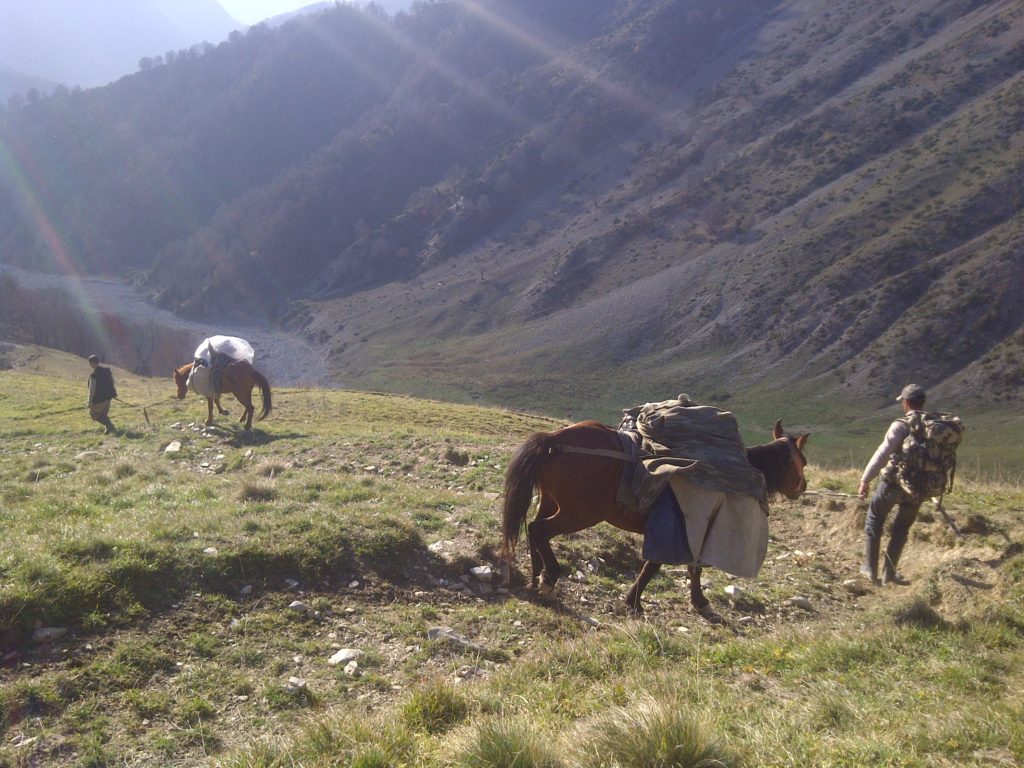 Horses on Steep down grade Azerbaijan