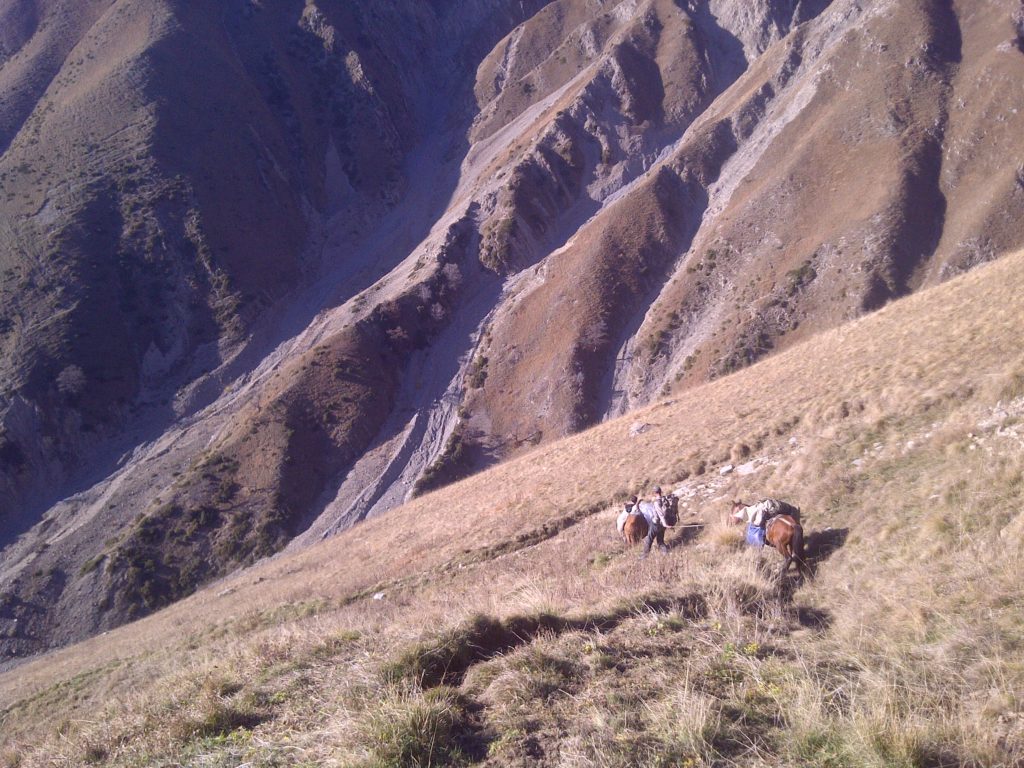 Horses on Trail, 2012 Azerbaijan