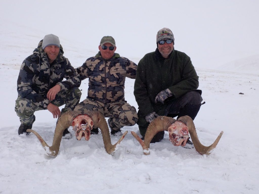 Hume Argali, 50 and 45 inch, John Shafter, Bryan and Vince C. Nov. 2014
