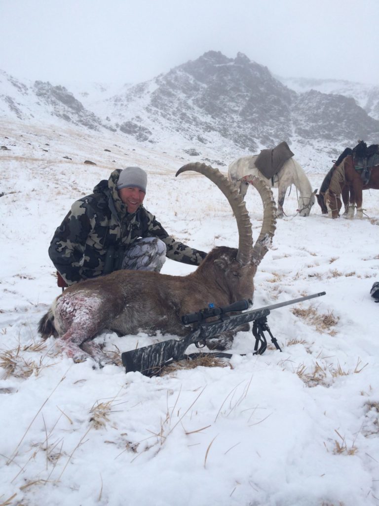 Mid-Asian Ibex, 40 inch, John Shafter, Nov. 2014