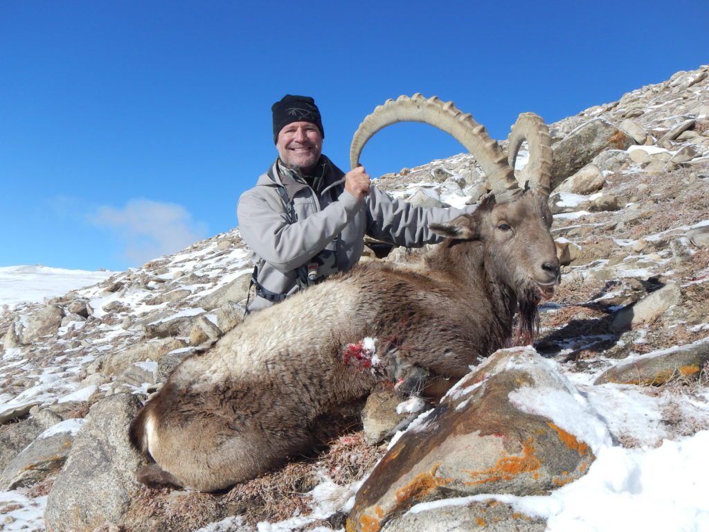 Mid-Asian Ibex, 41 inch, Jeff Perachi, Nov. 2013