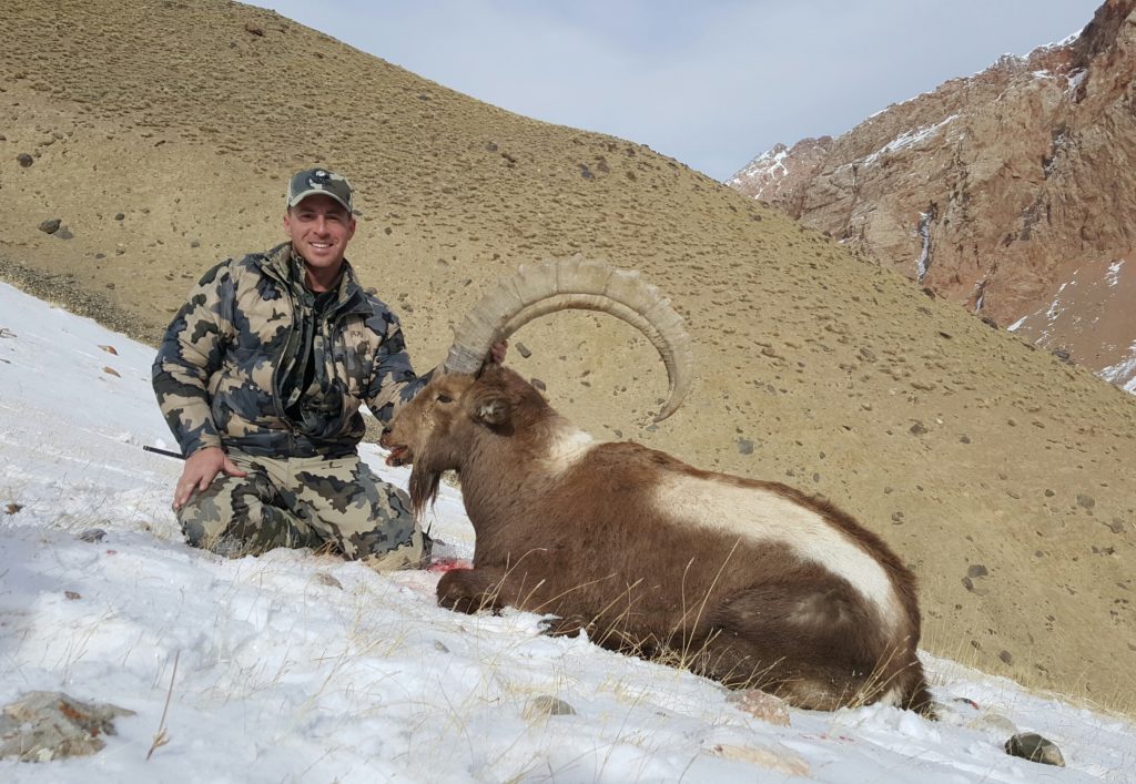 Mid-Asian Ibex, 44 inch, Justin Ragazzine, Feb. 2016