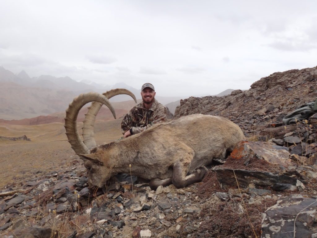 Mid-Asian Ibex, 44.5 inch, Nels Nelson, Nov. 2015