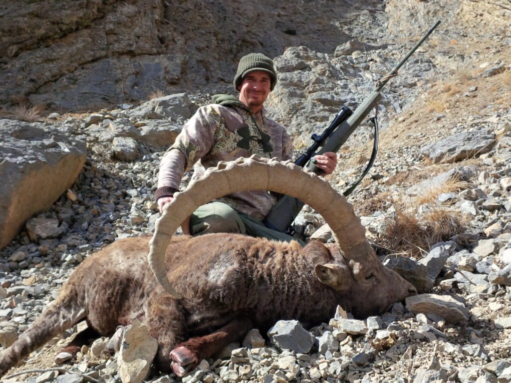 Mid-Asian Ibex, 48 inch, Terence Knudson, October 2014