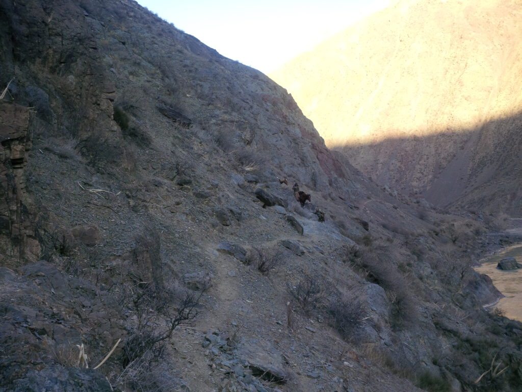 Steep horse trail in Ibex country, Nov. 2015