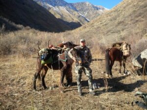 Trusty Kyrgyzstan Horses