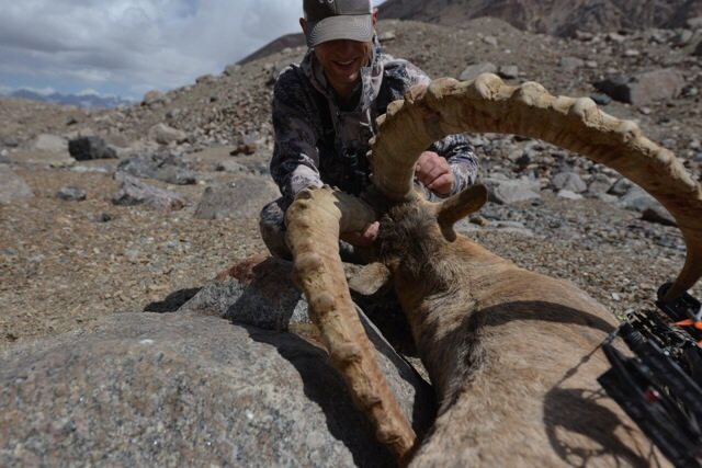 Mid-Asian Archery Ibex, 41 inch, Cam Foss, August 2014