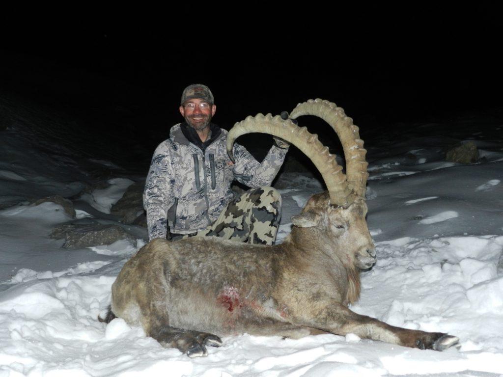 Mid-Asian Ibex, 38 inch, Oct. 2014