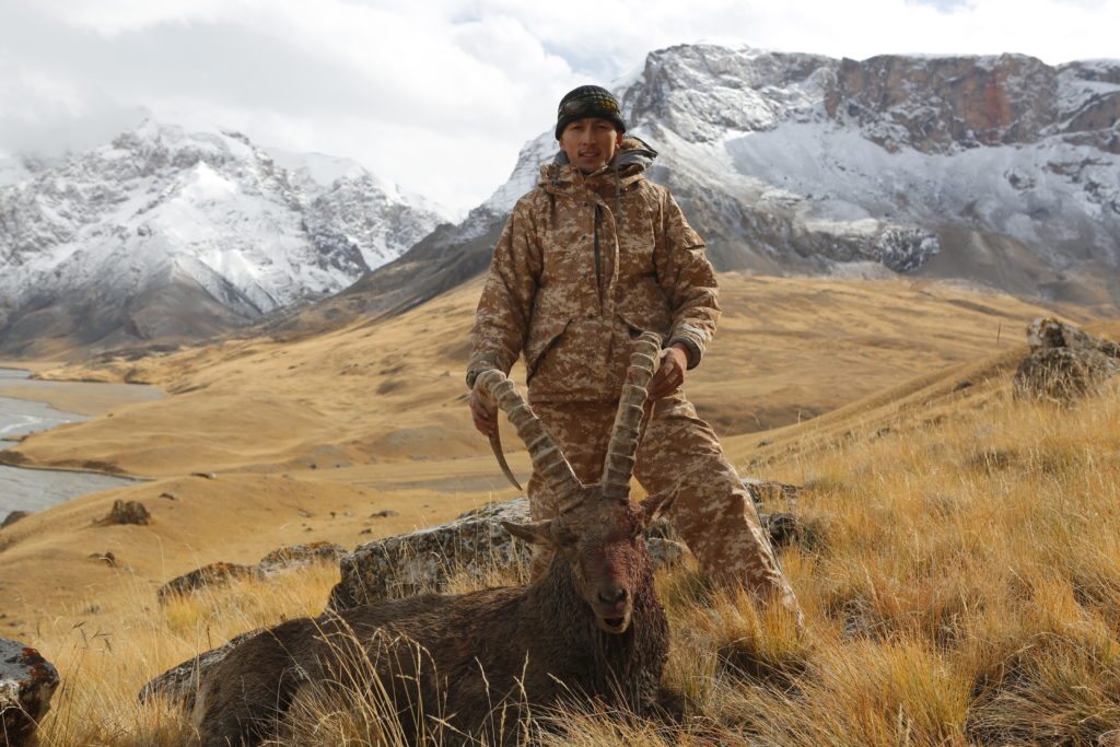 Mid-Asian Ibex, 41 inch, Sept. 2014
