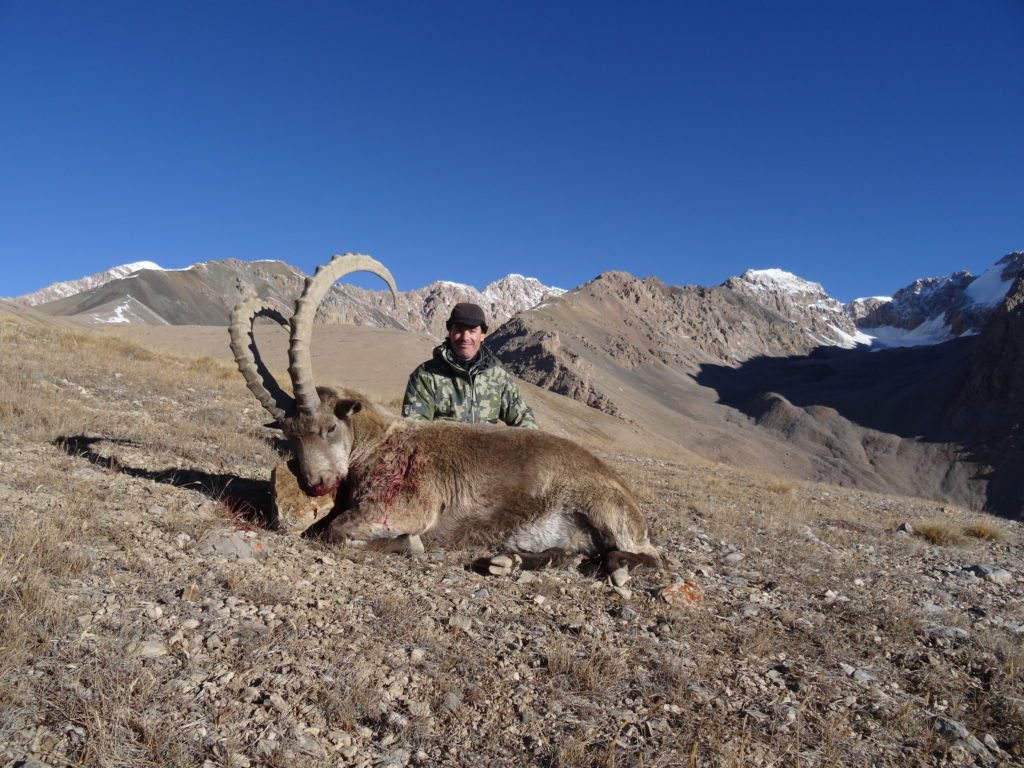 Mid-Asian ibex, 43 inch, Travis Volk, Oct. 2015